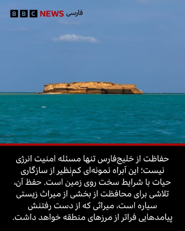 🖋پوریا ناظمی، روزنامهنگار علمی

این روزها نگاه جهان به خلیج فارس بیش از هر زمان دیگری به عنوان یکی از کانونهای تنش ژئوپلیتیکی و شریانهای حیاتی بازار انرژی جلب شده است. اما در پس این تصویر آشنا، واقعیتی کمتر دیدهشده وجود دارد: یکی از خاصترین و در عین حال شکنندهترین زیستبومهای دریایی جهان، که حالا زیر فشار همزمان از تغییرات اقلیمی، فعالیتهای انسانی و خطرات ناشی از درگیریها قرار گرفته است؛ فشاری که ممکن است پیامدهایی فراتر از این منطقه برای حیات دریایی داشته باشد.

📸Getty Images⠀
bbc.in
🇬🇧 BBCPersian

🤖 @VahidHeadline