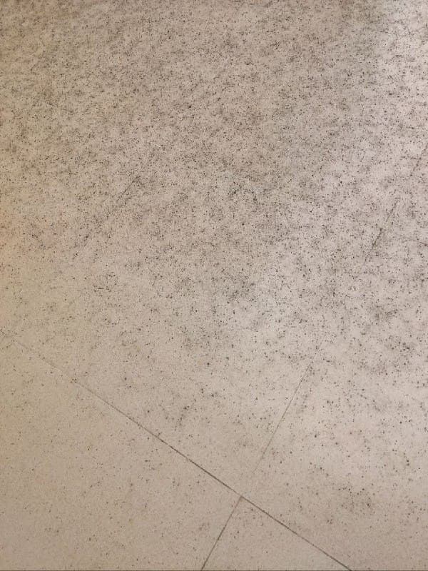 تصویر:  

- نمای انفجار

- ریزش باروت تو سطح شهر اندیمشک
موشک ها برخورد کردن به زاغه مهمات چهارم شکاری

پیام: 
- امروز ۱ فروردین ساعت ۱۱:۴۰ پایگاه چهارم شکاری رو با سنگرشکن زده. تمام خونههای نزدیک انگار احساس زلزله داشتن.

- دزفول و اندیمشک ۱۱:۴۲ یک فروردین، ۵ انفجار مهیب. موجش بسیار شدید بود. دوکوهه رو گایید. آخریش ساعت ۱۱:۴۸ ناجور بود دودش شکل قارچ اتمیه.

- دزفول امروز ۱ فروردین، از ساعت ۱۱:۴۰ دقیقه صبح، ۴ تا بمب خیلی قوی زدن. شیشه ها و در پنجرهها خونمون تکون میخورد.

@mamlekate پست در ایکس